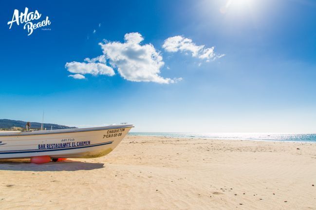 Atlas Beach Blog - The best of the week