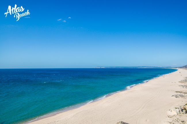 Atlas Beach Blog - The best of the week