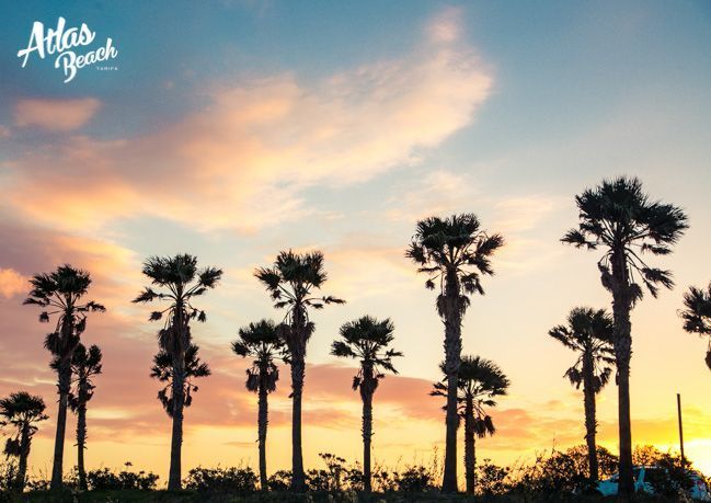 Atlas Beach Blog - The best of the week