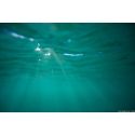 Below the Surface