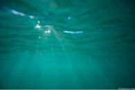 Below the Surface