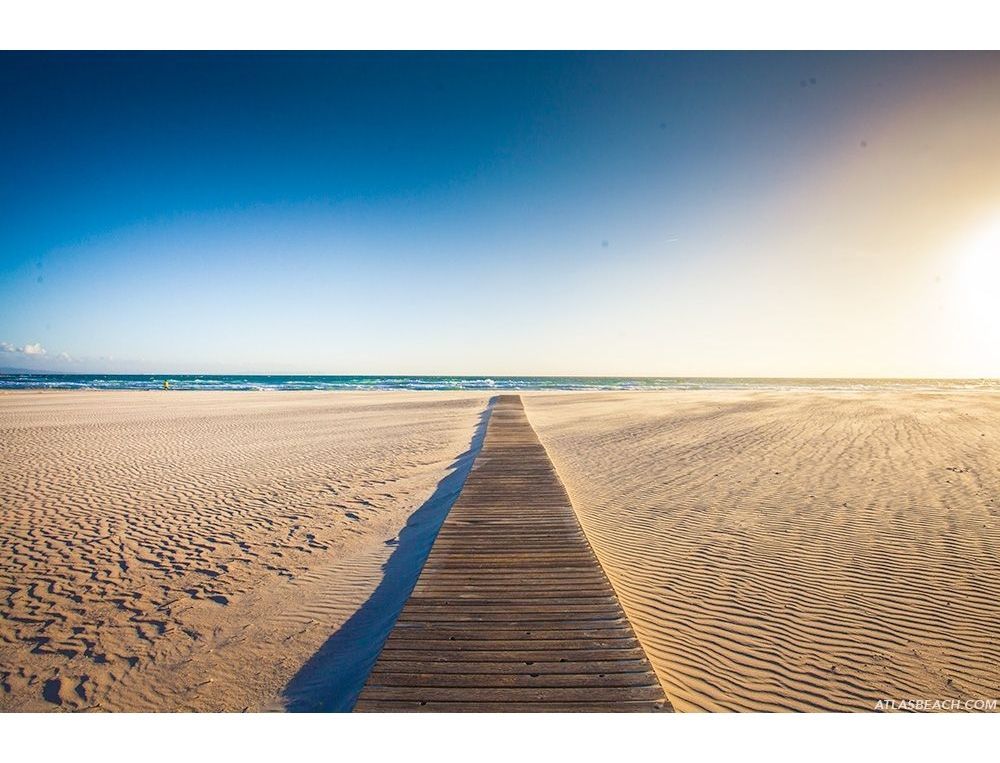 Walkpath