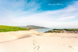 This is Bolonia