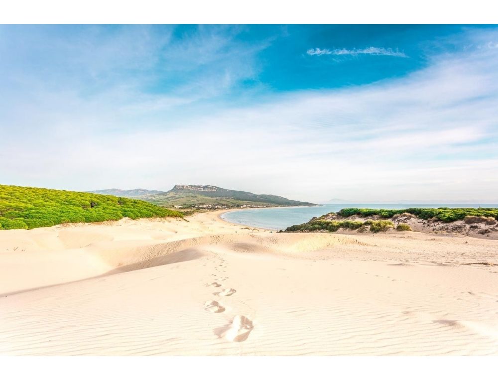 This is Bolonia
