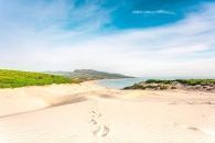 This is Bolonia
