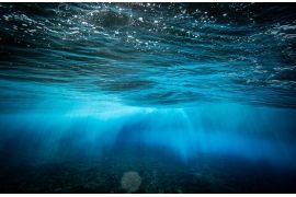 Ghosts on the reef