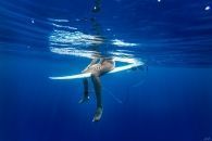 Surfer Girl