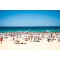 Bondi Crowd