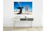 Nullarbor Whale