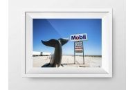 Nullarbor Whale