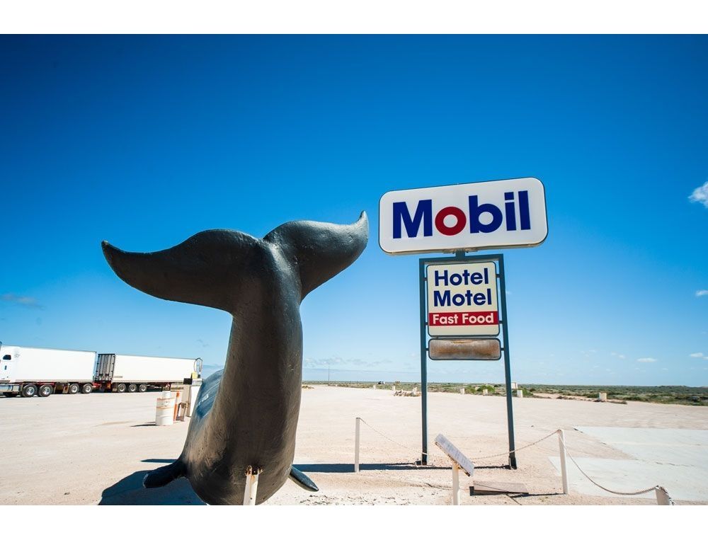 Nullarbor Whale