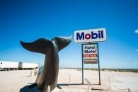 Nullarbor Whale