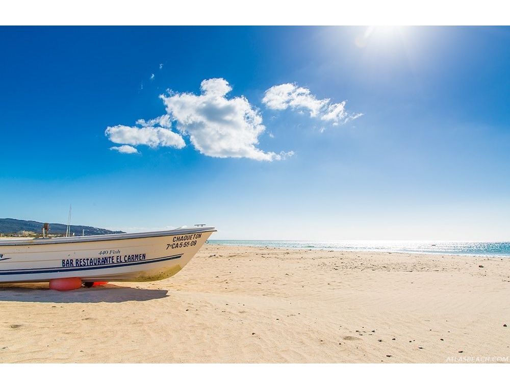 Zahara Paradise II