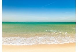 Horizontal beach paradise