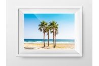 Marbella Palms