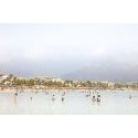 Banus Beach