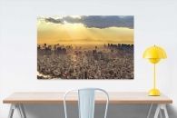 Greater Tokyo + Fuji