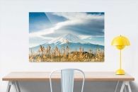 Mount Fuji
