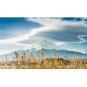 Mount Fuji