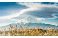 Mount Fuji