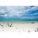 Lost Caribe