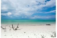 Lost Caribe