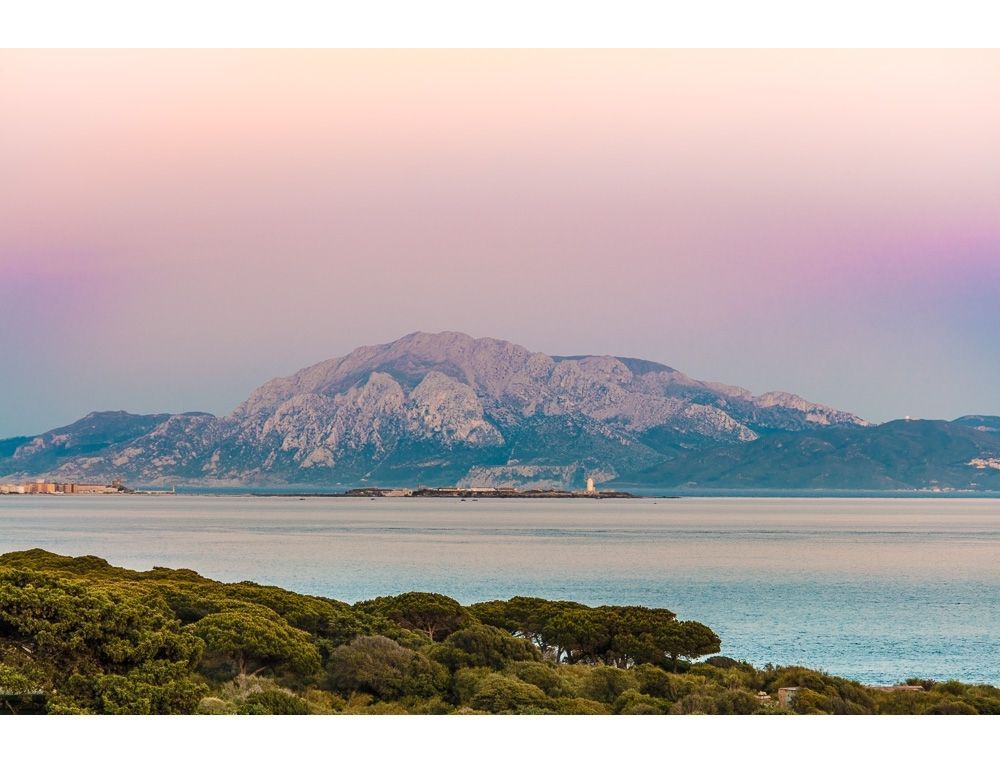 From Punta Paloma