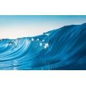 Shiny Wave