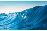 Shiny Wave