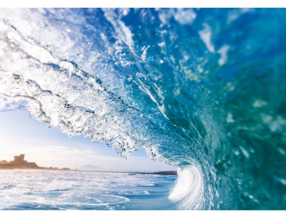 Monster Wave