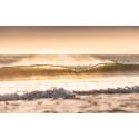 Golden wave