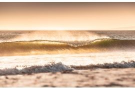 Golden wave