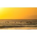 Balneario surfers