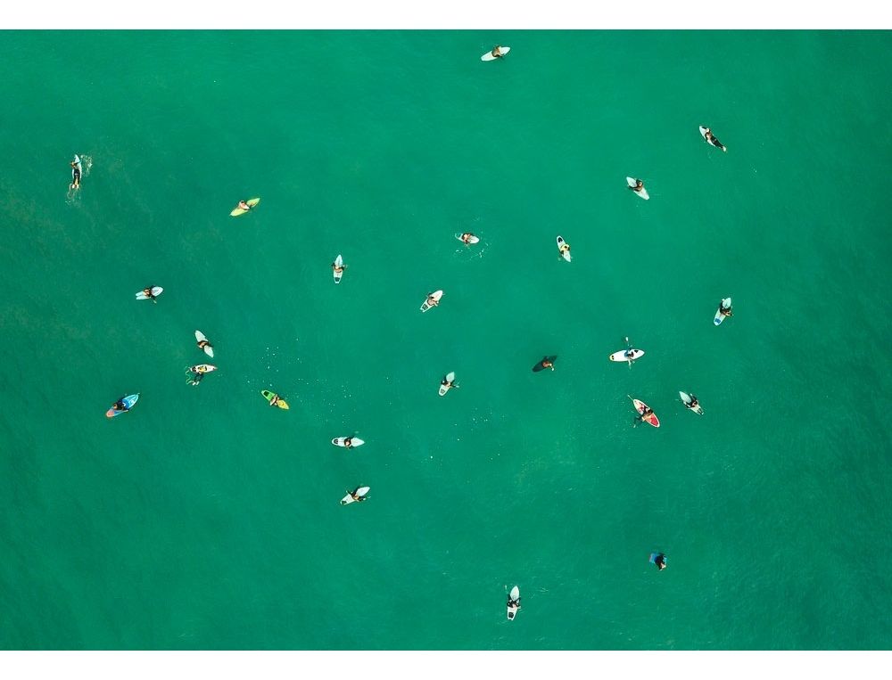 Bird Eye