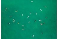Bird Eye