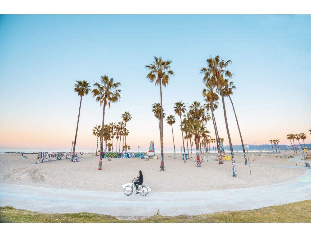Surfer Venice Beach