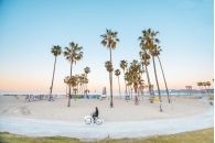 Surfer Venice Beach