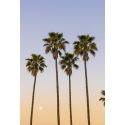 California Love