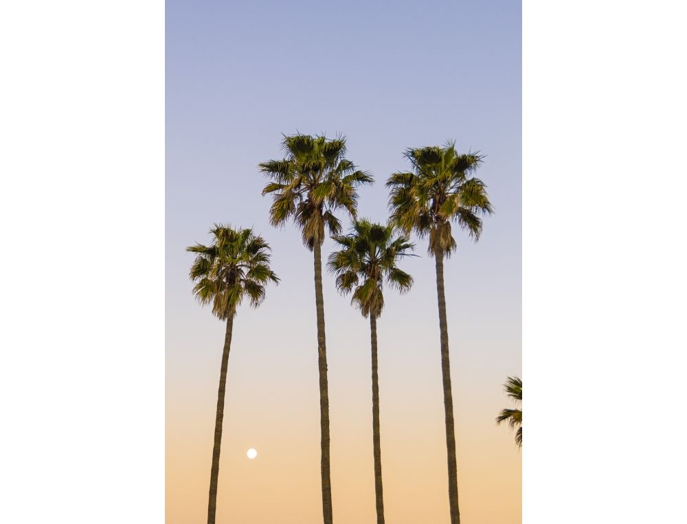 California Love