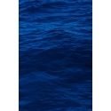 Deep Sea EXTRA LARGE