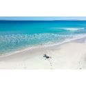 Formentera Happiness