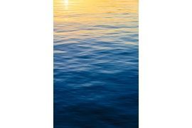 Mediterranean Mornings Vertical
