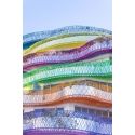 Boas