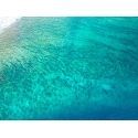Reefs