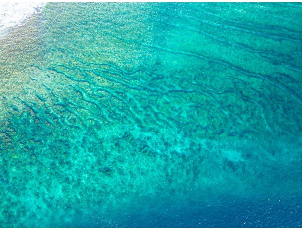 Reefs