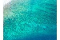 Reefs