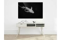 Shark Dancings II