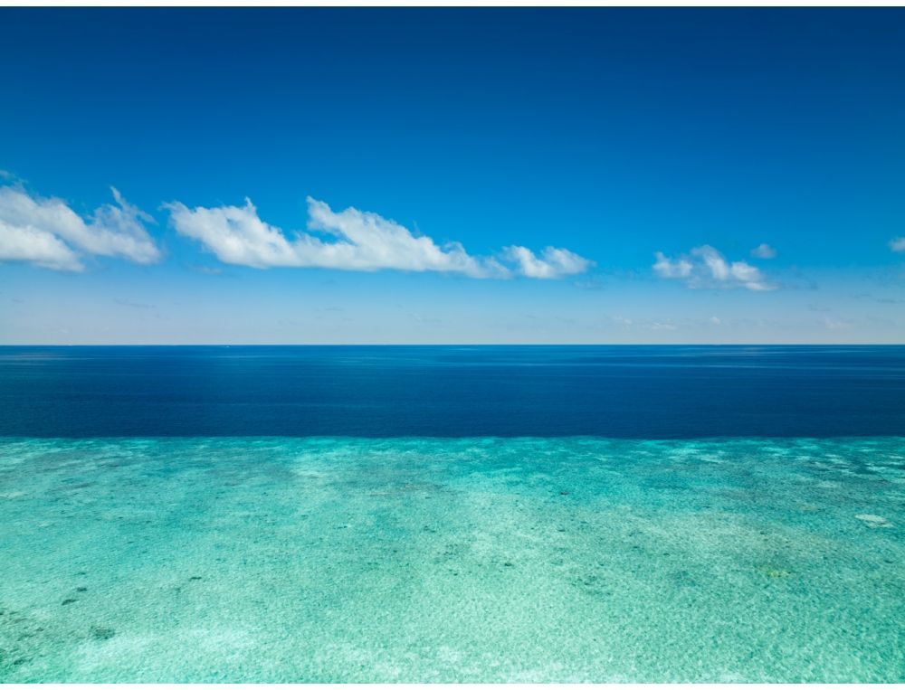 Two thousand blues