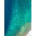 Reef and cliffs