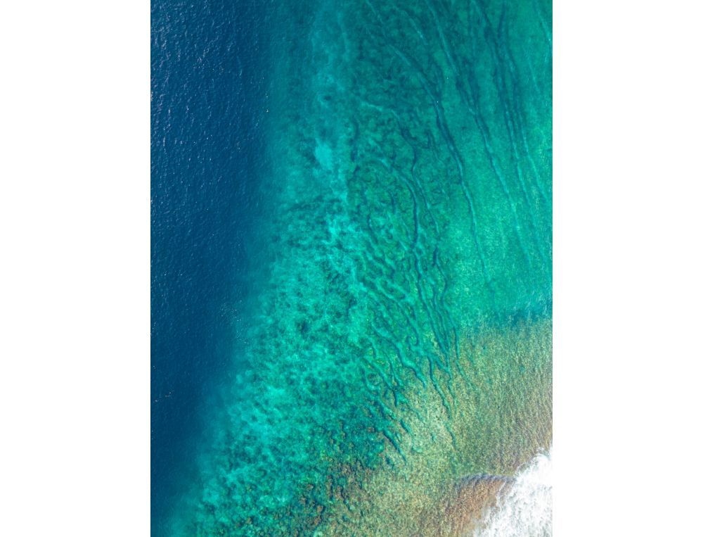 Reef and cliffs